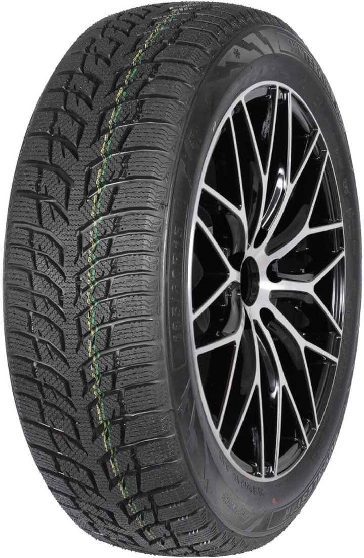 Autogreen Snow Chaser 2 AW08 195/55R15 85T