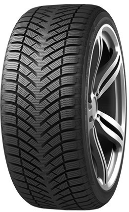 Routeway Polargrip RY66 205/50R17 93V XL