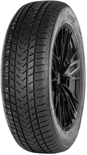 Gripmax SureGrip eWinter 215/65R17 103V