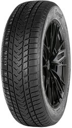 Gripmax SureGrip eWinter 205/40R17 84V