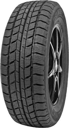 Delinte Winter WD2 205/70R15C 106/104S
