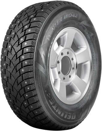 Delinte Winter WD42 225/55R19 103T