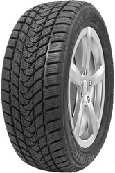 Delinte Winter WD1 225/55R17 97T
