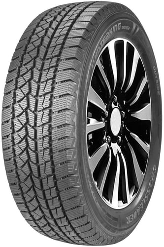 DoubleStar DW02 245/40R20 99T