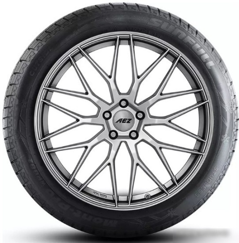 Sunfull Mont-Pro WP882 225/55R19 99H