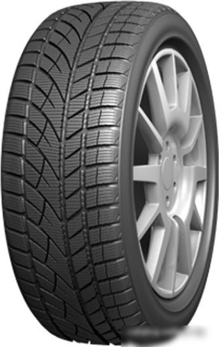 Evergreen EW66 225/50R17 98H