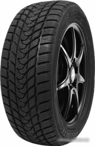 Delinte Winter WD1 215/45R17 91H