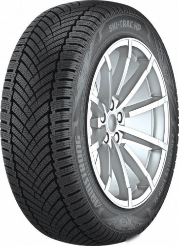 Armstrong Ski-Trac HP 205/55R17 95V