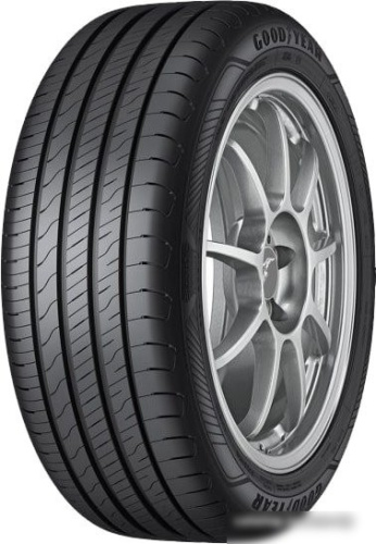Goodyear EfficientGrip Performance 2 205/55R19 97V