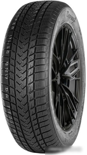 Gripmax SureGrip eWinter 255/60R20 113V