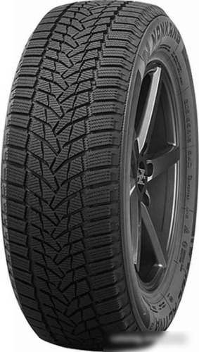 Nankang Ice 2 275/40R20 106T