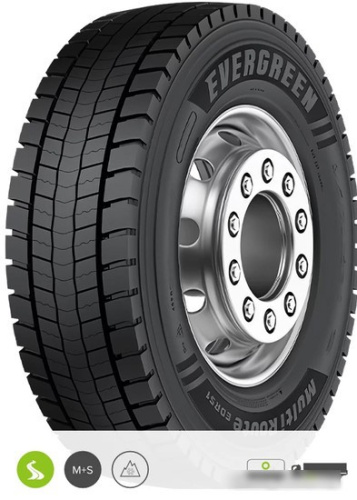 Evergreen EDR51 315/80R22.5 156/153L TL