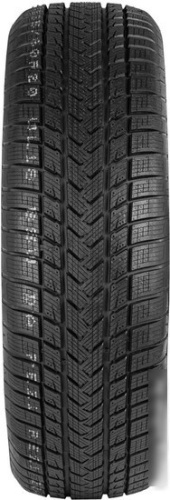 Gripmax SureGrip eWinter 255/60R20 113V