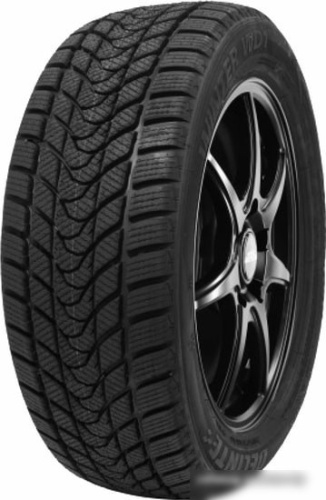 Delinte Winter WD1 185/65R14 86T