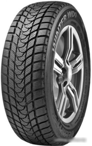 Delinte Winter WD1 185/65R14 86H