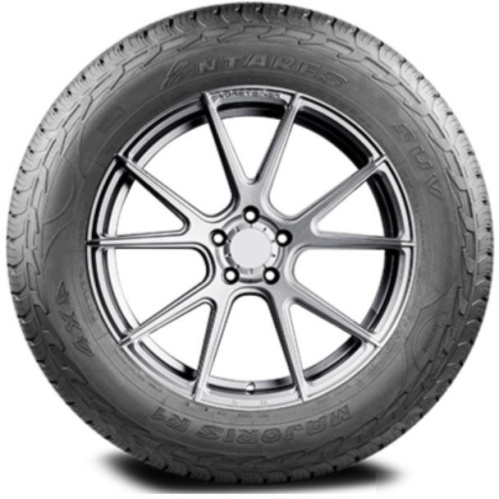 Antares Majoris R1 255/60R18 112H
