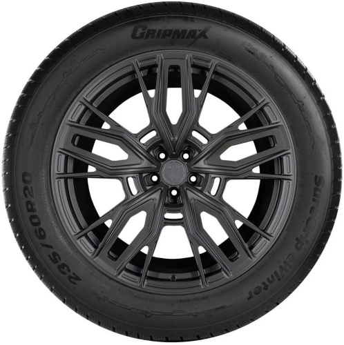 Gripmax SureGrip eWinter 215/60R18 102H