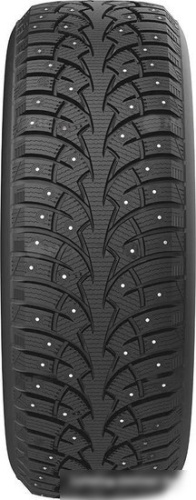 Arivo Ice Claw ARW4 205/55R16 94T
