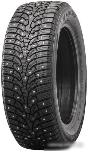 Nankang SW-9 255/40R19 100T