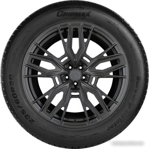 Gripmax SureGrip eWinter 255/60R20 113V