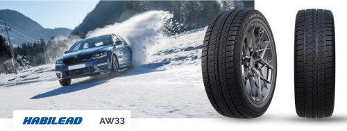 Habilead SnowShoes AW33 315/35R20 110H