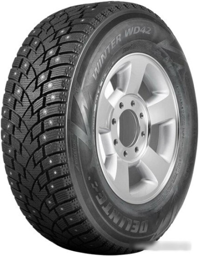 Delinte Winter WD42 225/55R19 103T