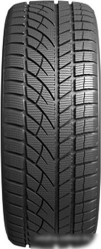 Evergreen EW66 225/50R17 98H