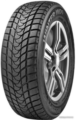 Delinte Winter WD1 235/50R18 101H