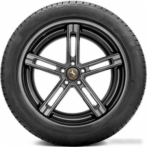 Continental ContiWinterContact TS 830 P 255/50R21 109H ContiSeal