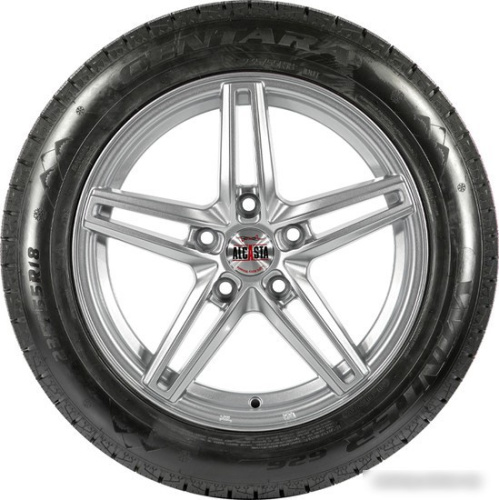 Centara Winter RX626 235/55R19 101T