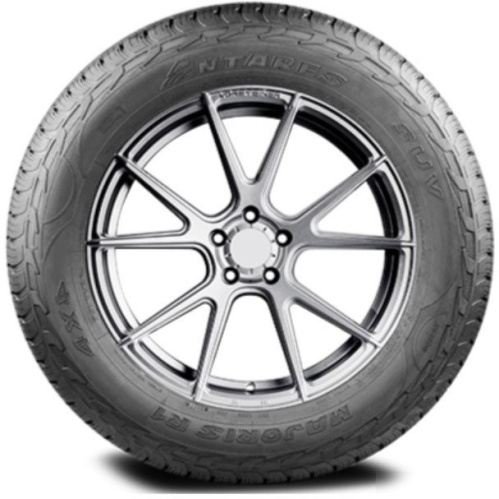 Antares Majoris R1 255/55R19 111V