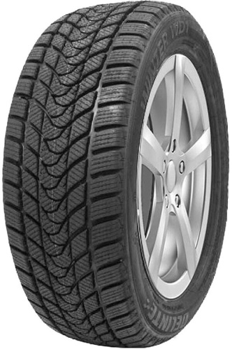 Delinte Winter WD1 205/65R16 95T